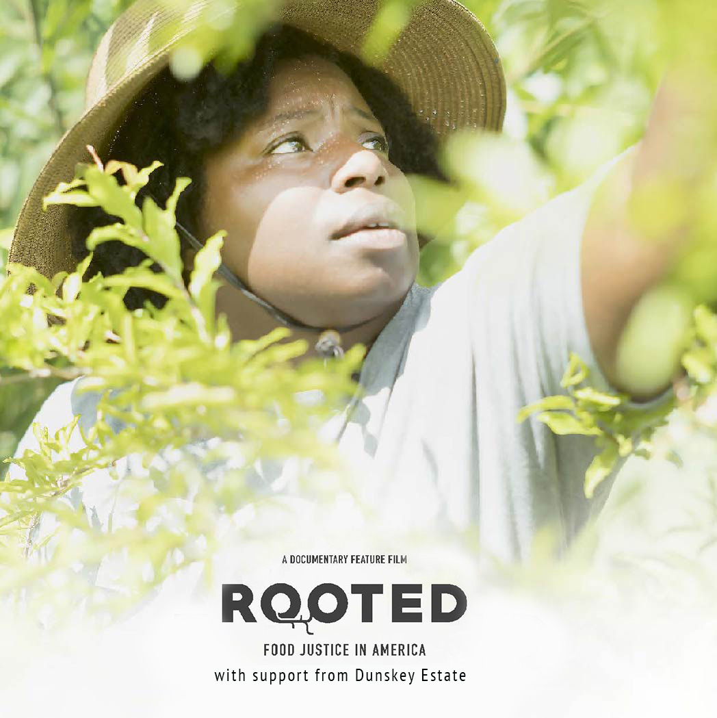 rooted film