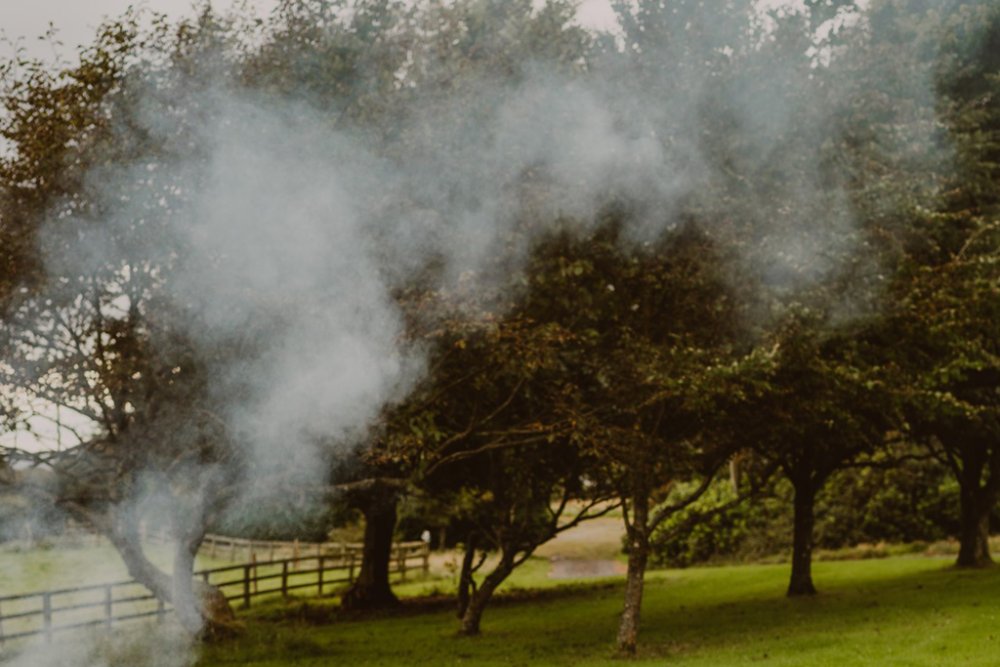 The Walled Garden Gate